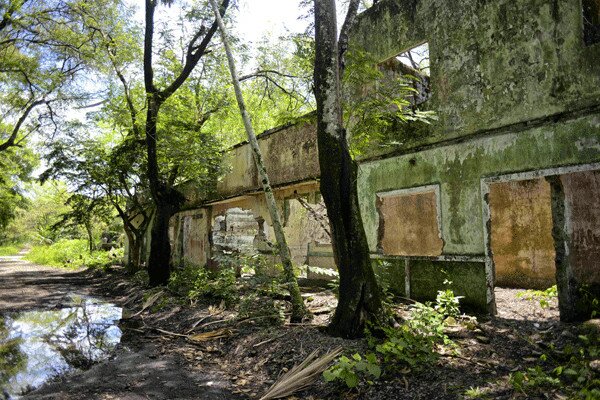 El_calentamiento_glo_54771600-(3)