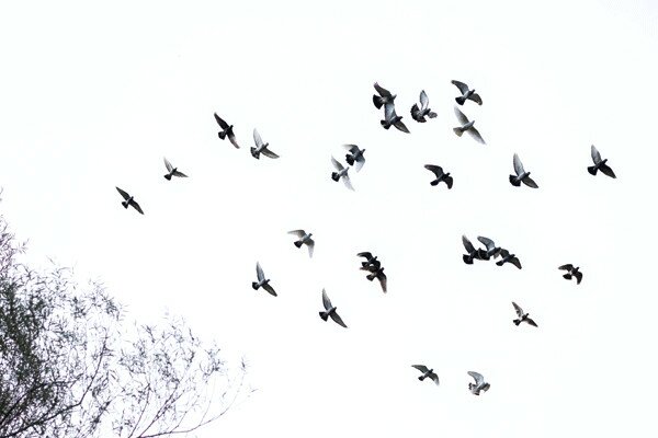 FOTO-2_SEPTIEMBRE02-F