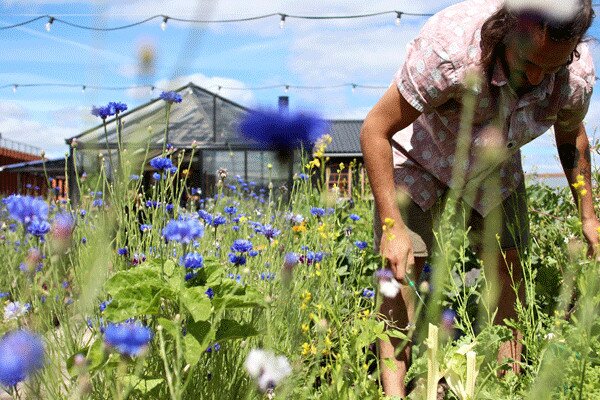 Unas_vacaciones_verd_54281879-(3)