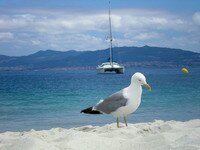 PLAYA-ISLAS-CIES PLAYA-ISLAS-CIES